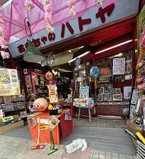 IMG_5945.JPG