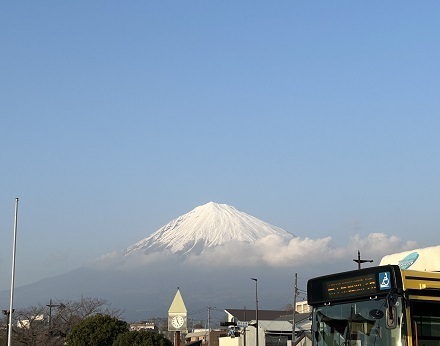 IMG_5947.JPG