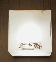 IMG_6008.JPG
