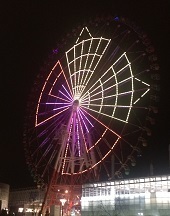 IMG_6173.JPG