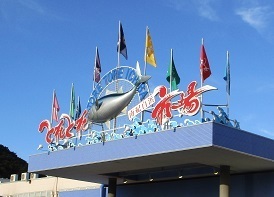IMG_6177.JPG
