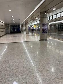 IMG_6273.JPG