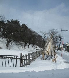IMG_6522.JPG