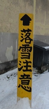IMG_6532.JPG