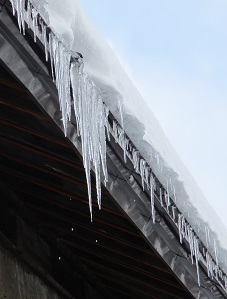 IMG_6533.JPG