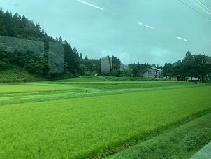 IMG_6774.JPG