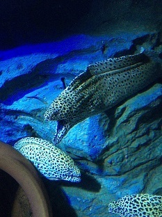 IMG_6877.JPG