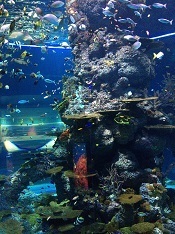 IMG_6882.JPG