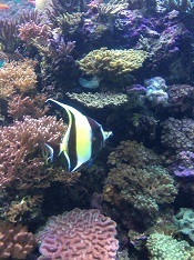 IMG_6884.JPG