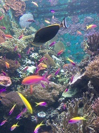 IMG_6886.JPG