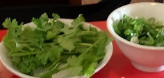IMG_6961.JPG