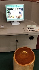 IMG_6971.JPG