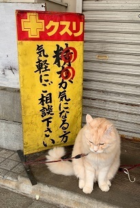 IMG_6993.JPG