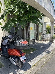 IMG_7281.JPG
