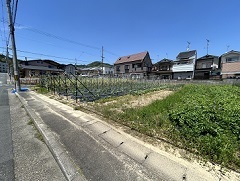 IMG_7287.JPG