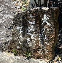 IMG_7290.JPG