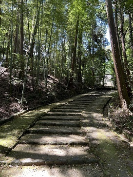 IMG_7293.JPG