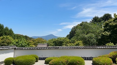 IMG_7297.JPG