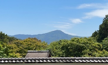 IMG_7298.JPG
