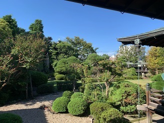 IMG_7629.JPG