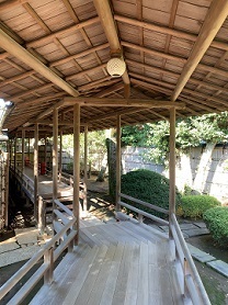 IMG_7652.JPG
