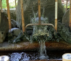 IMG_7670.JPG