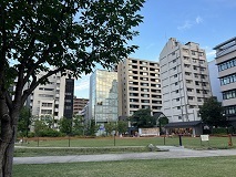 IMG_7699.JPG