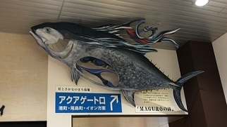 IMG_7753.JPG