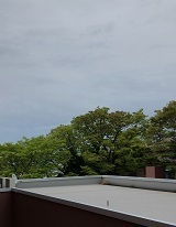 IMG_7765.JPG