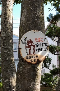 IMG_7832.JPG