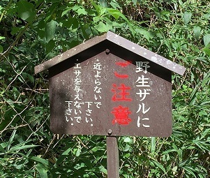 IMG_7849.JPG