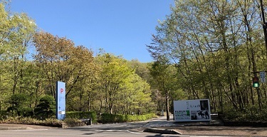 IMG_7874.JPG