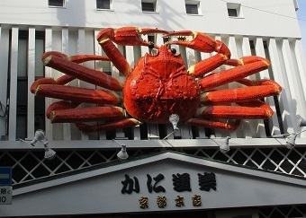 IMG_7908.JPG