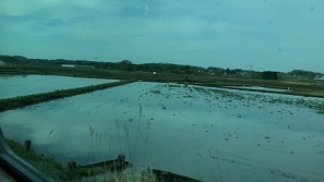 IMG_7941.JPG