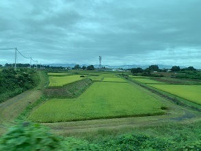 IMG_7947.JPG