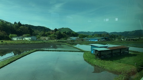 IMG_7959.JPG