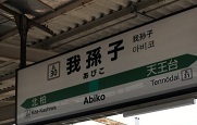 IMG_7976.JPG