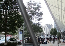 IMG_8146.JPG