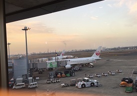 IMG_8216.JPG