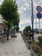 IMG_8231.JPG