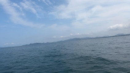 IMG_8248.JPG
