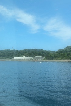 IMG_8252.JPG
