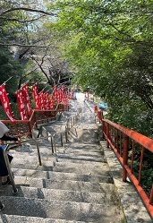IMG_8261.JPG