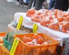 IMG_8267.JPG