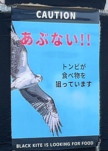 IMG_8327.JPG