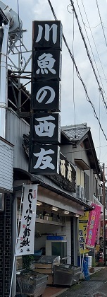 IMG_8337.JPG