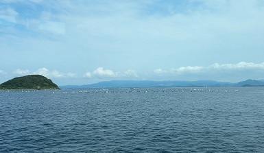 IMG_8356.JPG