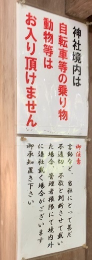 IMG_8490.JPG