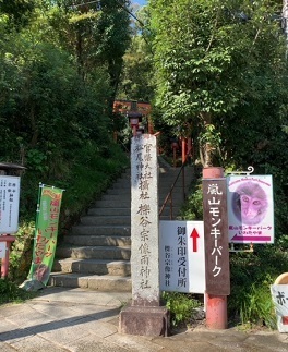 IMG_8509.JPG