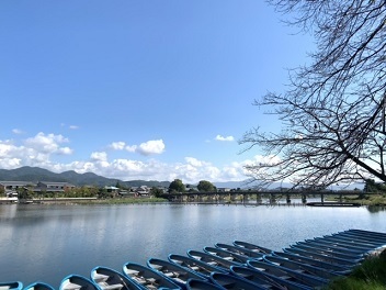 IMG_8519.JPG